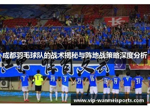 成都羽毛球队的战术揭秘与阵地战策略深度分析